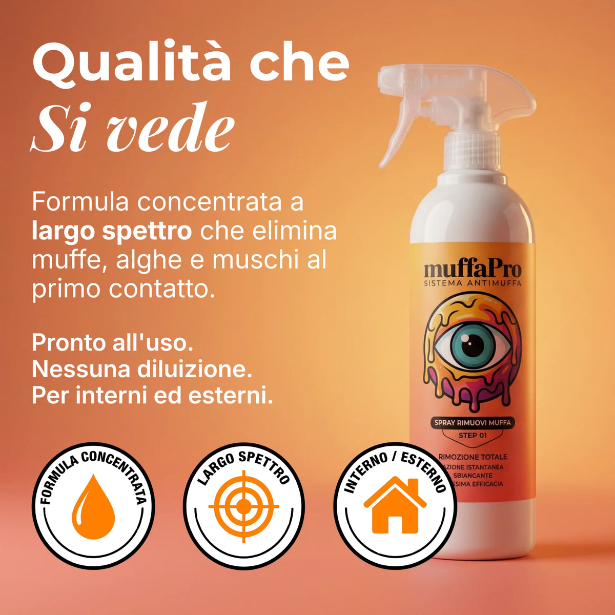 Spray Rimuovi Muffa