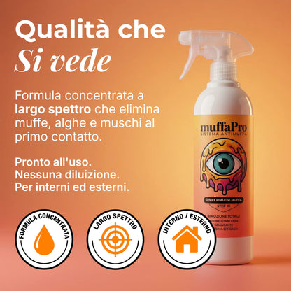Spray Rimuovi Muffa