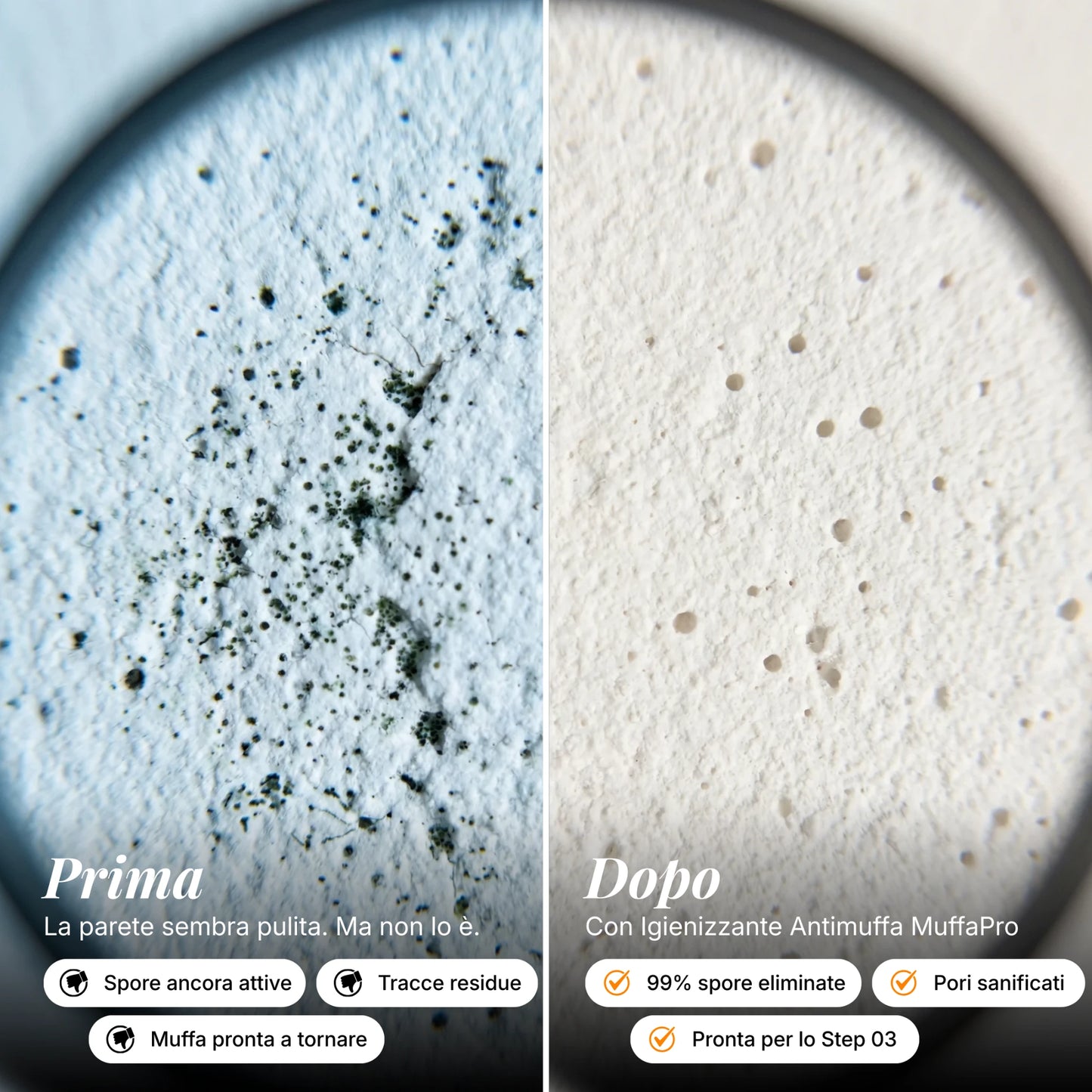 Igienizzante Antimuffa