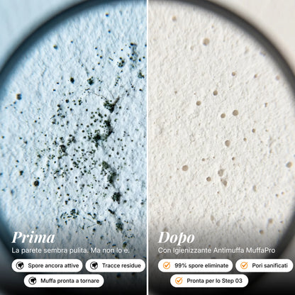Igienizzante Antimuffa