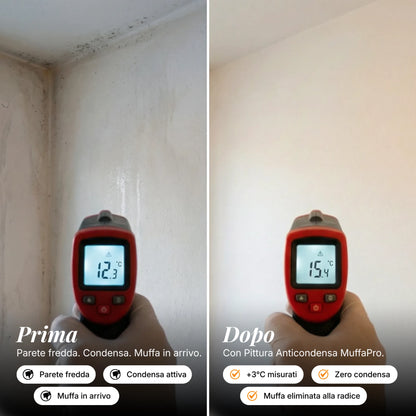 Pittura Anticondensa