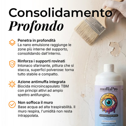 Nanoconsolidante Biocida