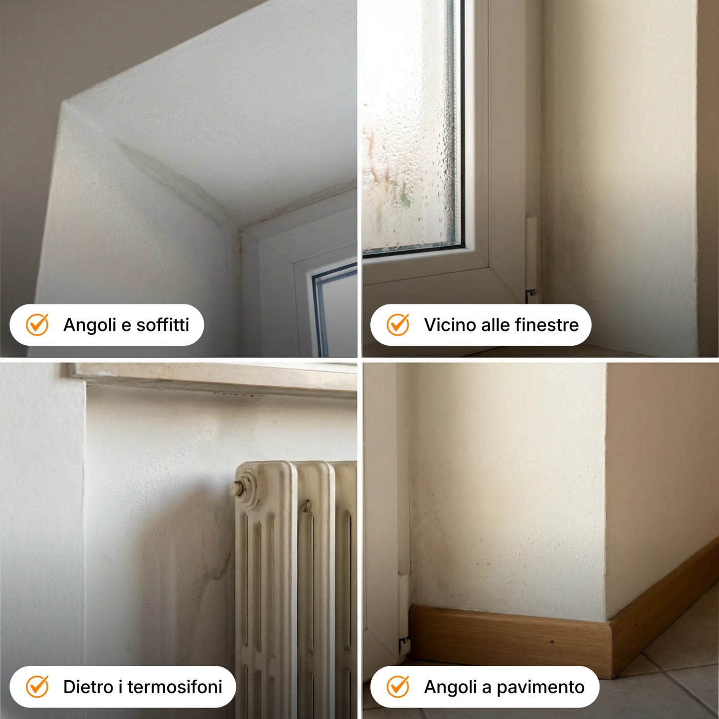 Pittura Anticondensa