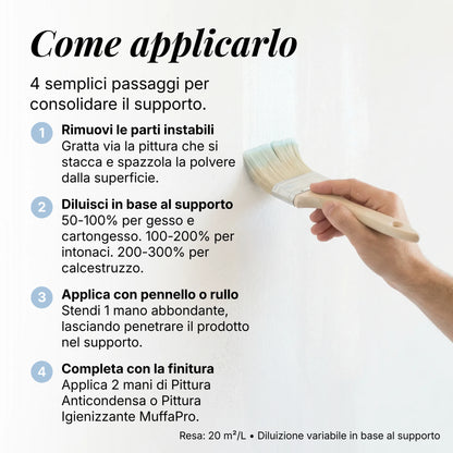 Nanoconsolidante Biocida