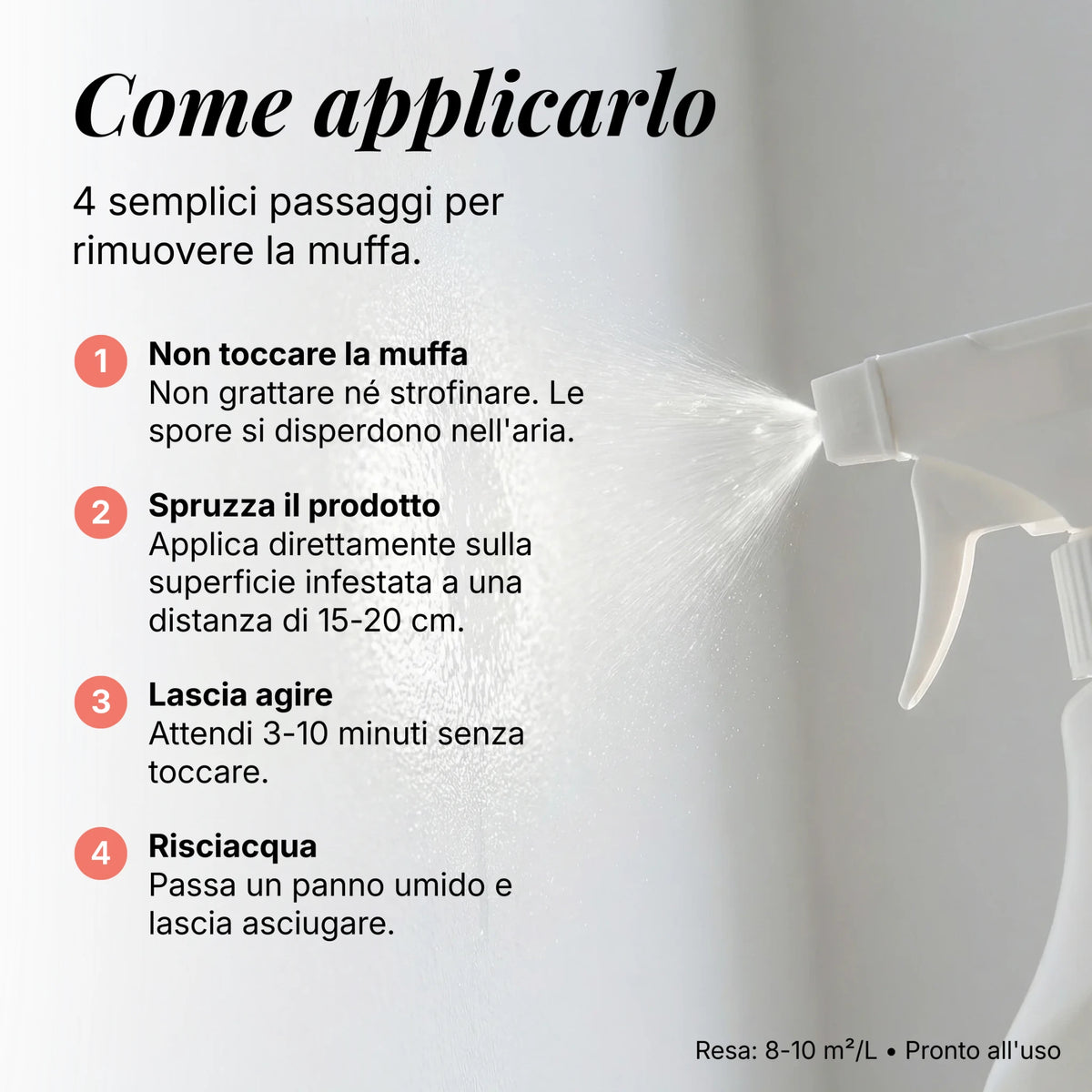 Spray Rimuovi Muffa