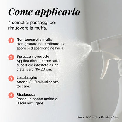 Spray Rimuovi Muffa